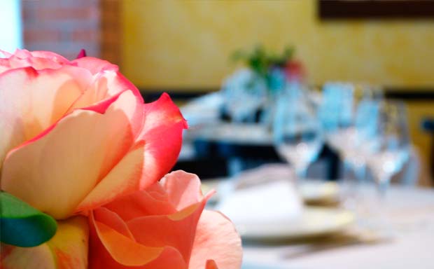 pimientos piquillo navarra ibarberoa